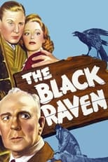 Poster for Black Raven