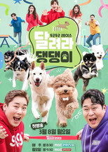 Run Puppy Run poster