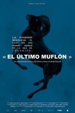 Poster for The Biological Invasions. The Case of Ovis Orientalis Musimon on the Island of Tenerife: « The Last Mouflon» 