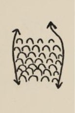 Projet Pour Un Poisson