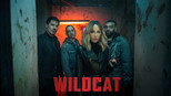 Wildcat-4