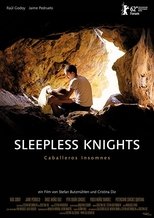 Poster for Sleepless Knights 