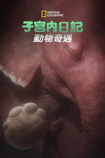 子宫内日记：动物奇遇