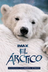 Osos Polares 3D: Ojos en el Hielo