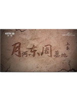 月河东周墓地 poster