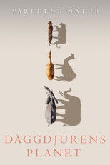 Däggdjurens planet