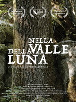 Nella Valle della Luna poster