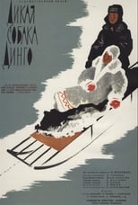 Дикий собака дінго (1962)