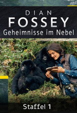 Poster zu Staffel 1 – Dian Fossey: Geheimnisse im Nebel