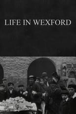 Poster for Life in Wexford 
