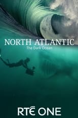 Poster for North Atlantic: The Dark Ocean