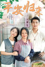 平安归来 poster