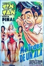 Me traes de un' ala (1953)