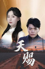 天赐 poster