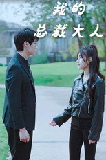 我的总裁大人 poster