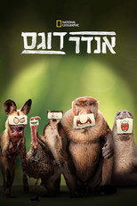 עונה 1