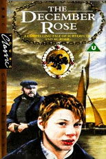 The December Rose poster