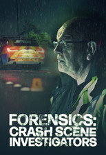 Forensics: Crash Scene Investigation poster
