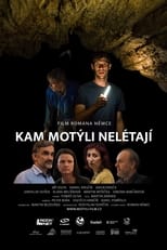 Poster di Kam motýli nelétají