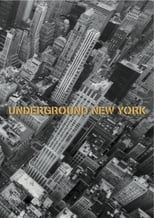 Poster di Underground New York