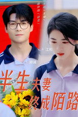 半生夫妻终成陌路 poster