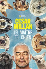 Affiche de Saison 1 — Cesar Millan: Tel Maître, Tel Chien