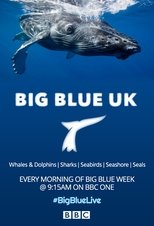 Poster for Big Blue UK