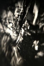 Chaos Is Order Misunderstood (2019)