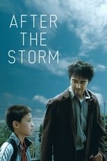 Poster for After the Storm 