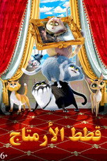 Cats in the Museum | القطط في المتحف