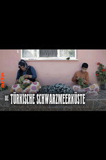 Die türkische Schwarzmeerküste poster