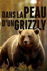 Poster for Grizzlys hautnah