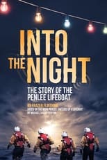 Poster for Into the Night