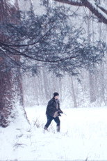 Fox Hunt