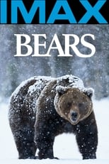 Poster for Bears