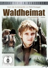 Poster for Waldheimat Season 1