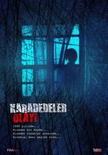 Poster for The Karadedeler Incident