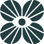 Magic Seed Productions