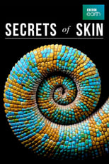 Poster for Secrets of Skin