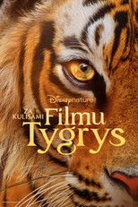 Za kulisami filmu "Tygrys"