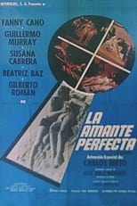 Poster for The Perfect Lover