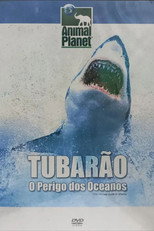 The Ultimate Guide: Sharks
