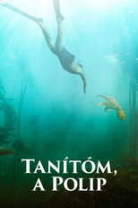 Tanítóm, a polip