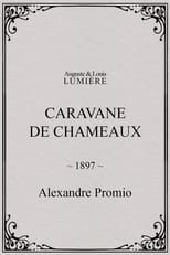 Poster for Caravane de chameaux