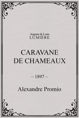 Poster for Caravane de chameaux 