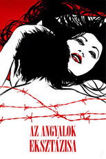 Az angyalok eksztázisa