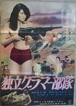 Poster for 独立グラマー部隊