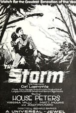 Poster for The Storm