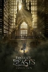 Fantastic Beasts Collection