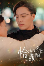 恰如冬日暖阳 poster